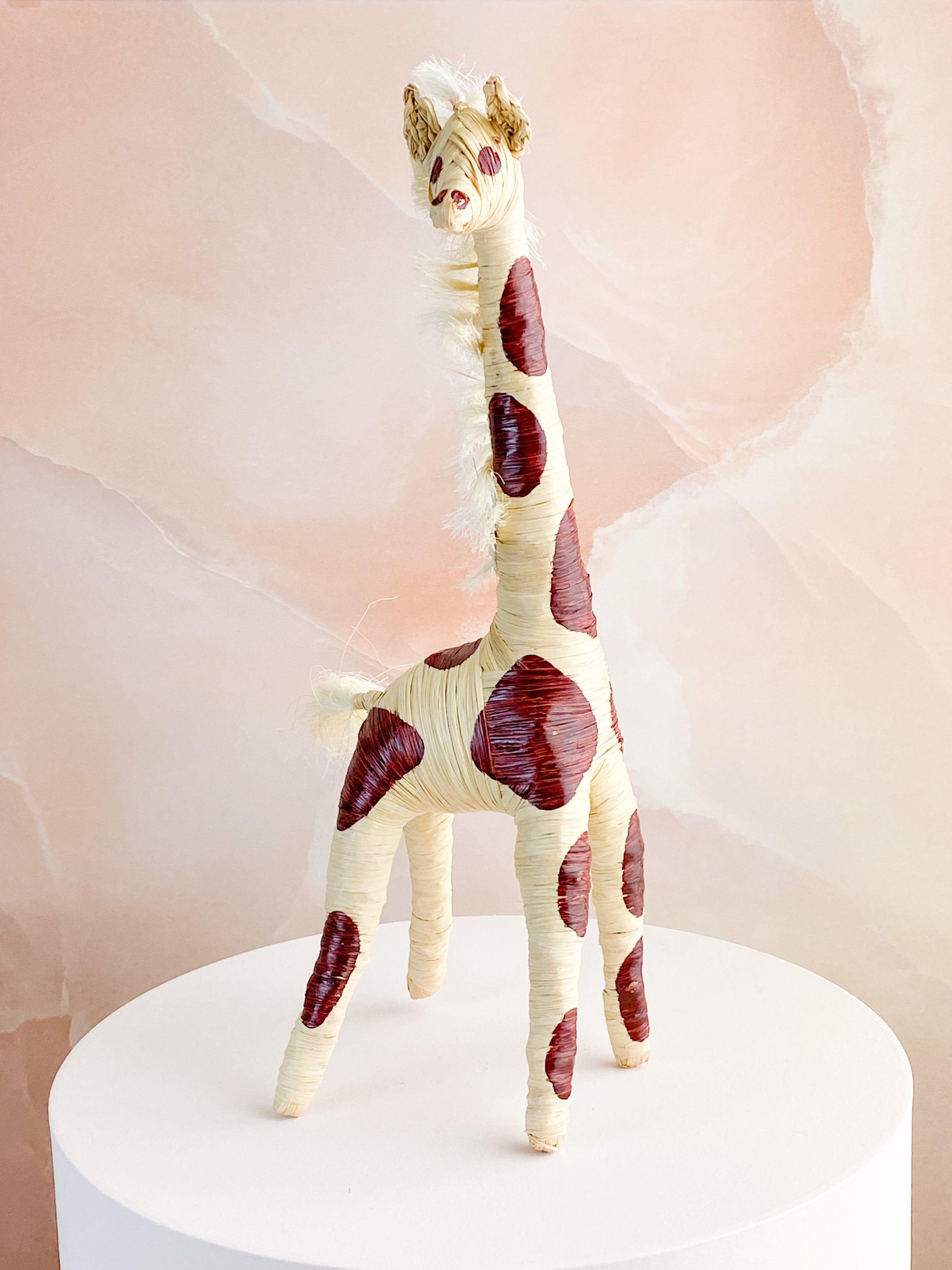 Hand -tråkig giraff från Madagaskar